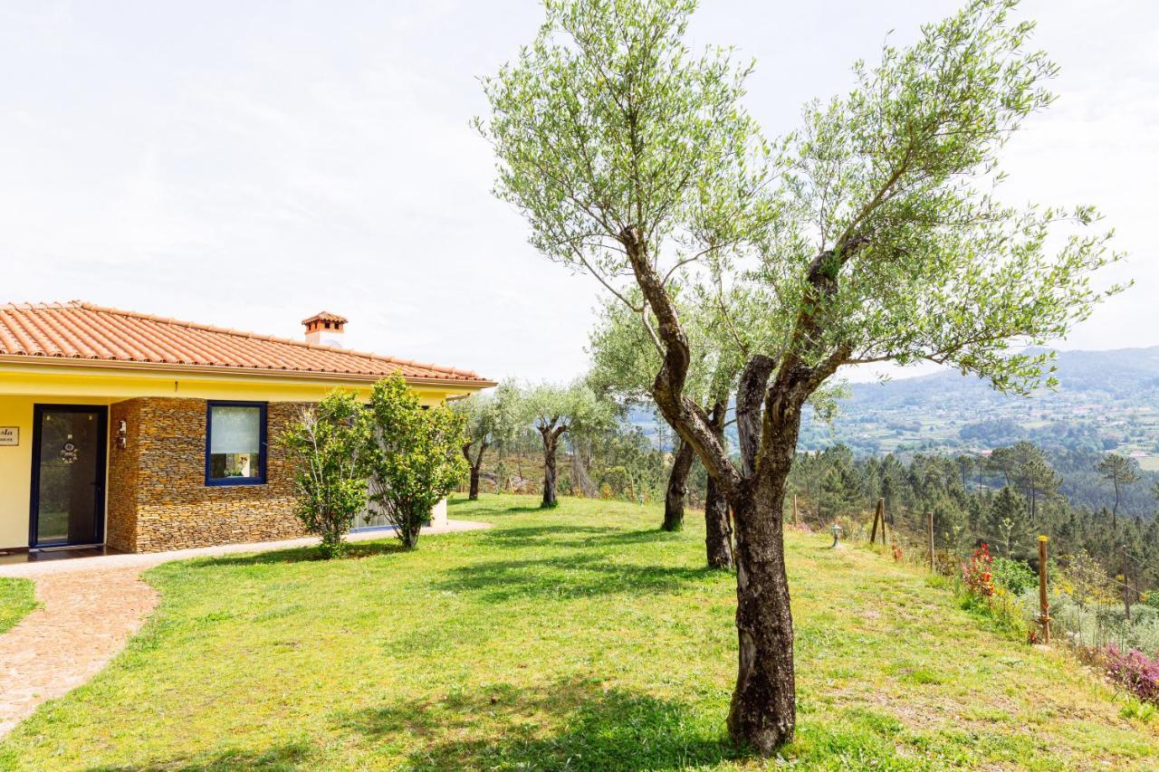 Boavista Country Houses No 87 Cabeceiras de Basto Exterior foto